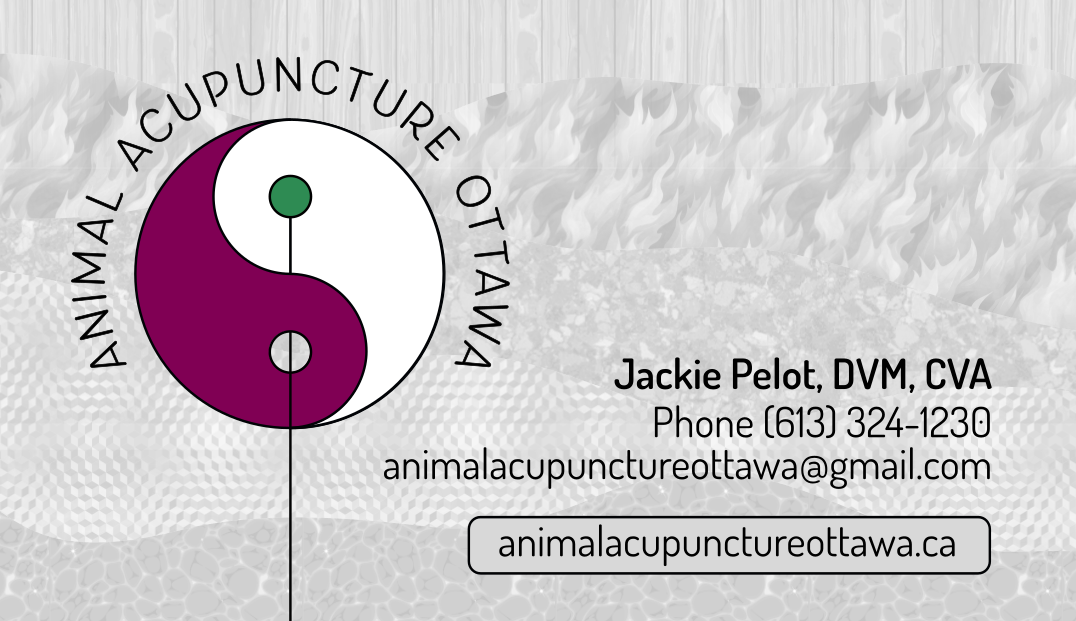 Animal Acupuncture Ottawa Logo