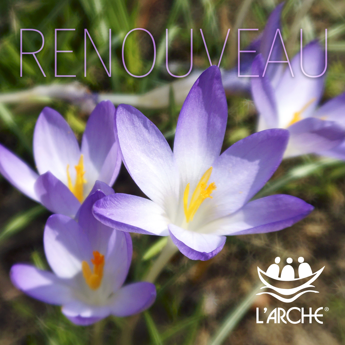 Visuals for social media